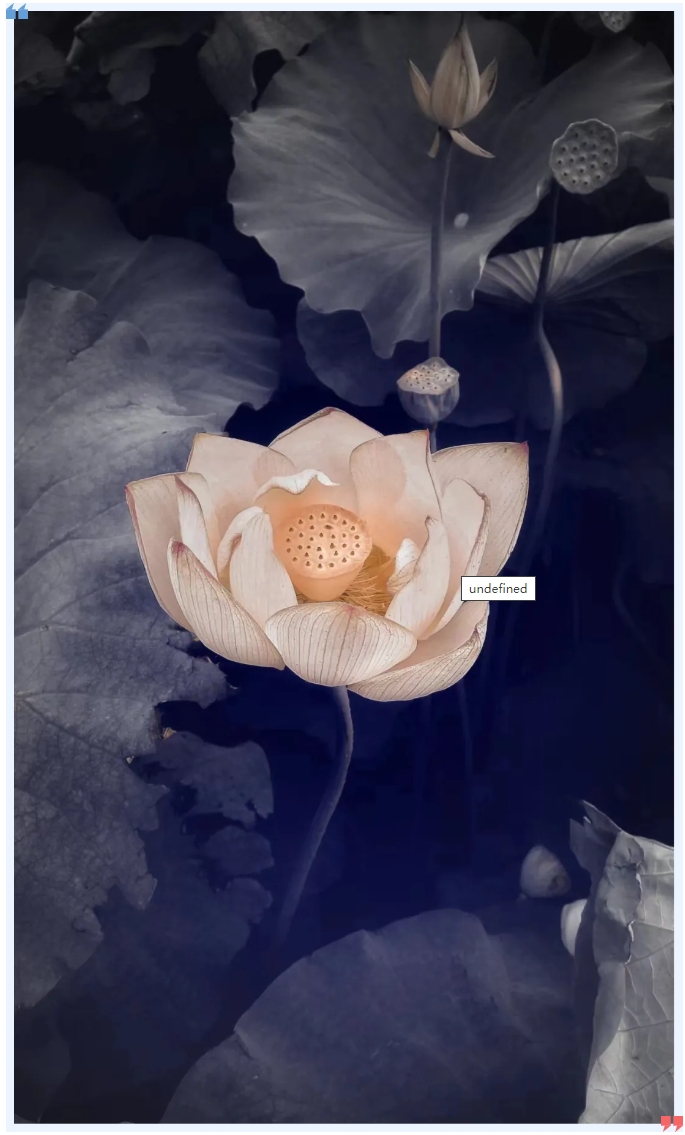 “清風(fēng)廉韻 攜手同行”——南陽(yáng)中聯(lián)開展廉潔主題文化作品征